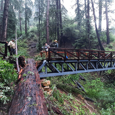 Save the Redwoods League Urges State Legislators to Fund California State Parks Through Climate Bond