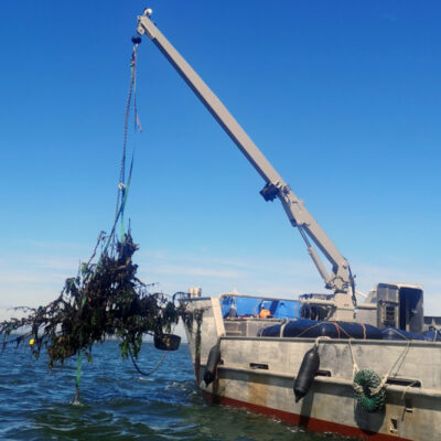 Reefs Made From Culled Trees Can Help Kickstart Sea Life in Threatened Waters