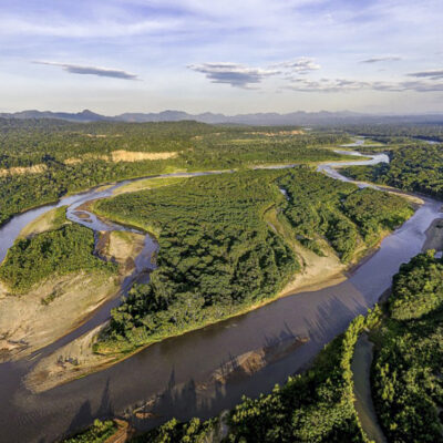 Researchers Advocate for Protecting ‘Nature’s Strongholds’ to Meet Global Biodiversity Targets