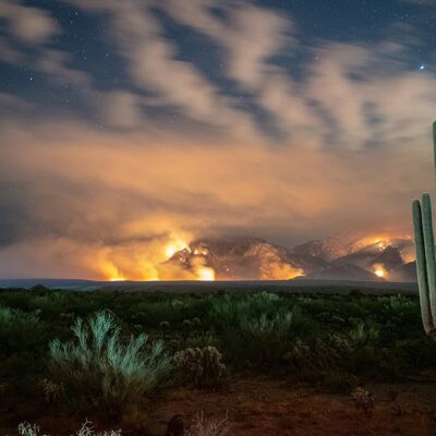Rising Threat of Wildfires in Arizona’s Sonoran Desert: Research and Preparations for a Fire-Prone Future