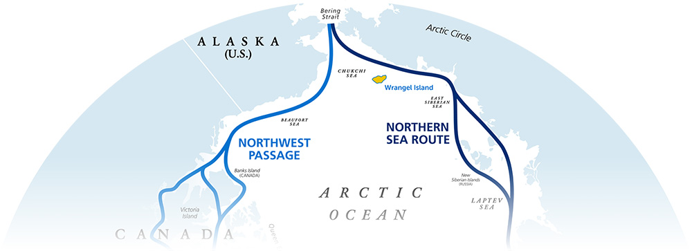 The Northwest Passage and the Northern Sea Route — two thawing maritime trade routes along the north coasts of North America and Asia, respectively — converge at the Bering Sea. Russia has claimed exclusive rights to patrol and develop along the Northern Sea Route, including upgrades to its military facilities on Wrangel Island (in yellow), roughly 300 miles from Alaska.