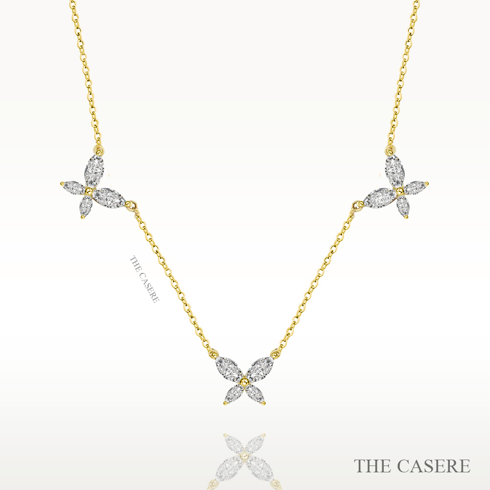 THE CASERE