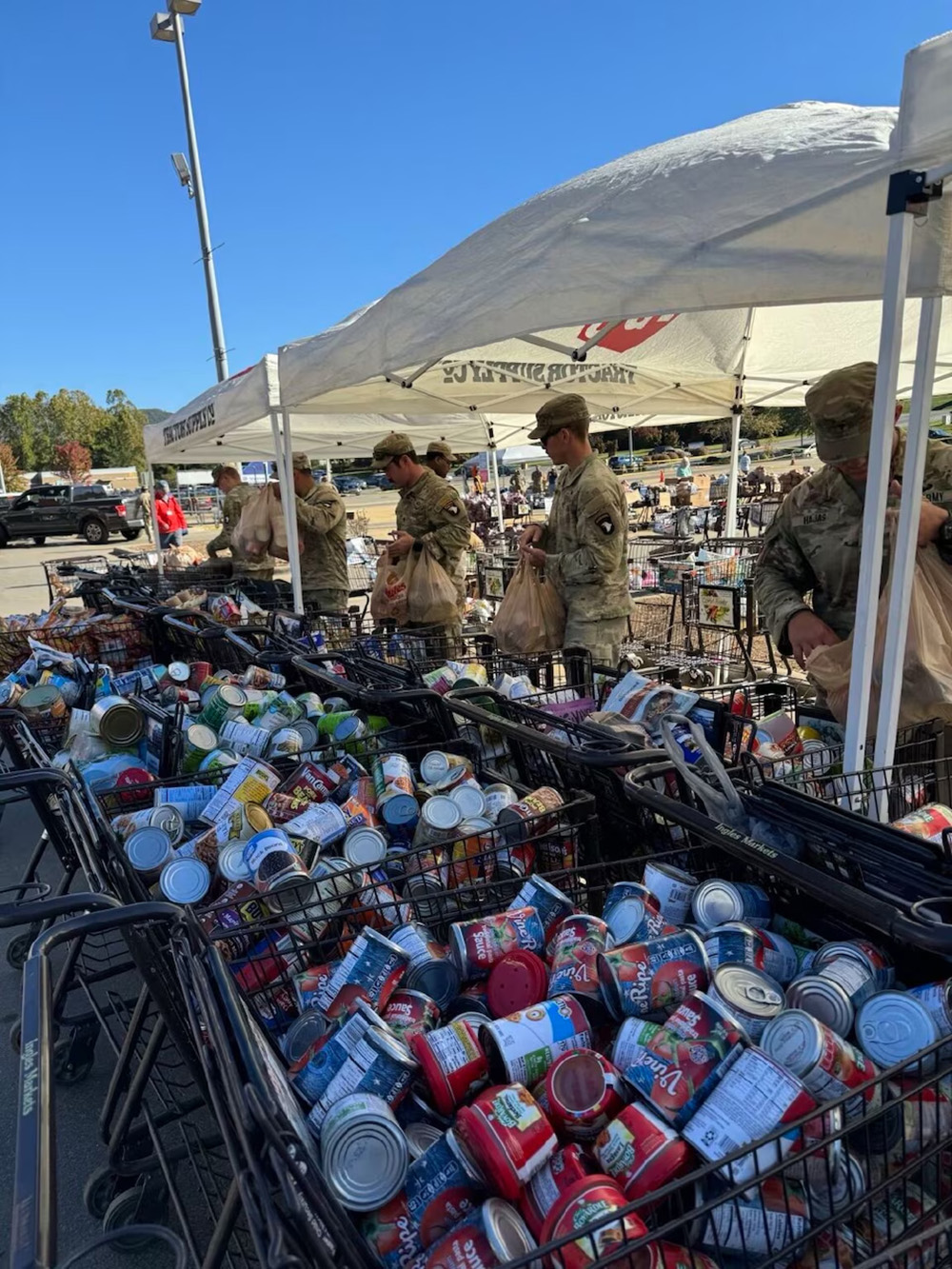 Cobra Company, 1st Battalion, 502nd Infantry Regiment aides with supply distribution at the Black Mountain Distribution Center in western North Carolina. on Oct. 10, 2024. © DOD