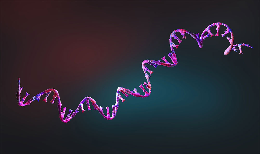 Enhancing scRNA-Seq Accuracy: The Transformative Power of Automated Cell Counters