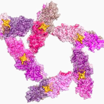 Researchers Find CRISPR Is Capable of Even More Than We Thought