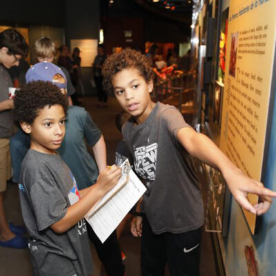 Blue Star Museums Program Reopens for Military Families: Free Access to Cultural Institutions This Summer