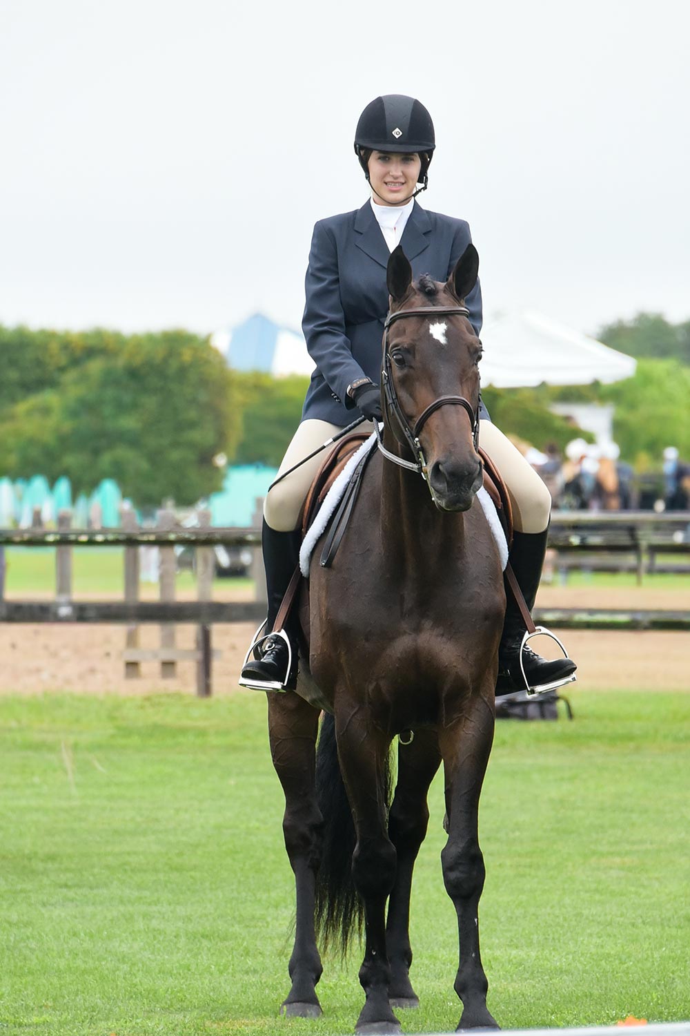 As Northeastern Equestrian Season Ends, Major Horse Shows Prepare Southward Shift to Florida