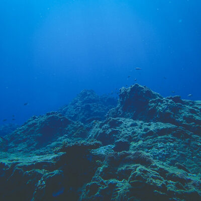 Global Consensus Emerges to Protect Seamounts: IUCN Congress Passes Landmark Resolution