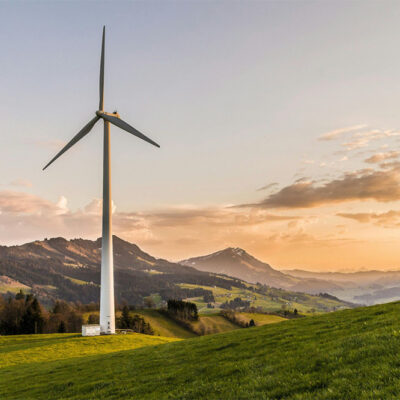 The Rise of Green Careers: How Every Industry Is Now Part of the Sustainability Economy