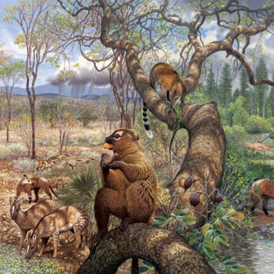 Ancient Climate Patterns Offer Clues to Future Rainfall Shifts