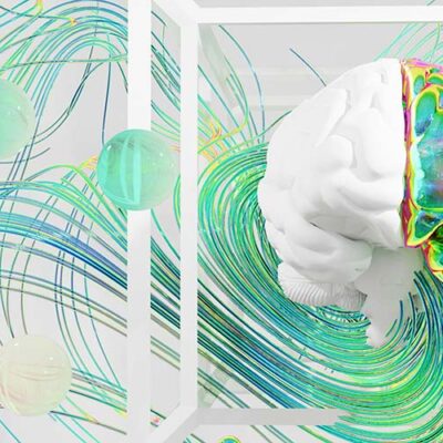 Dr. Michael Johnson on Harnessing Neuroplasticity to Heal the Body and Brain